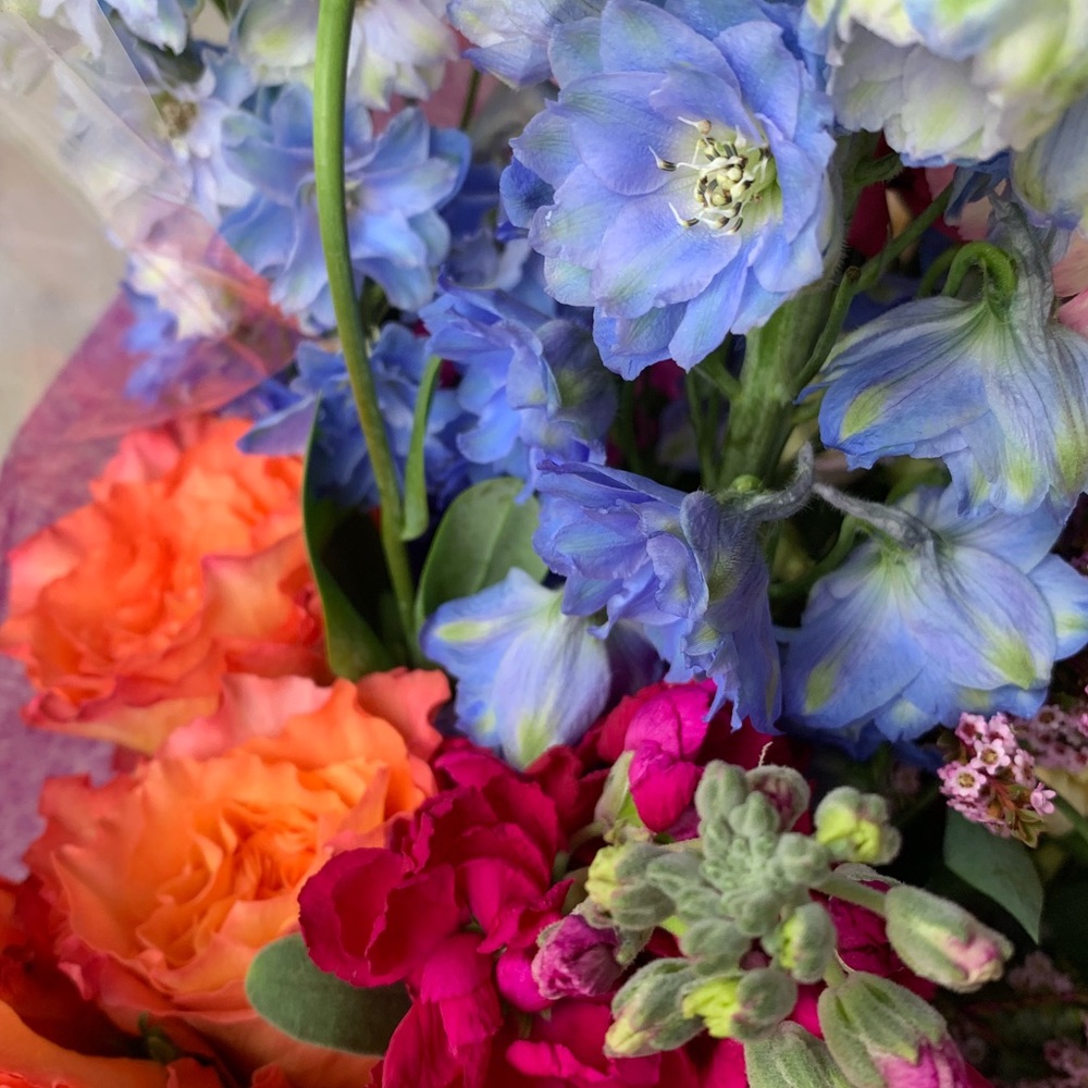 Meet your Posher, Elizabeth